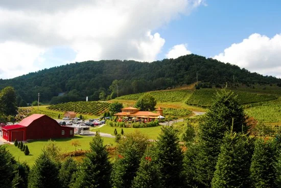 Linville Falls Winery